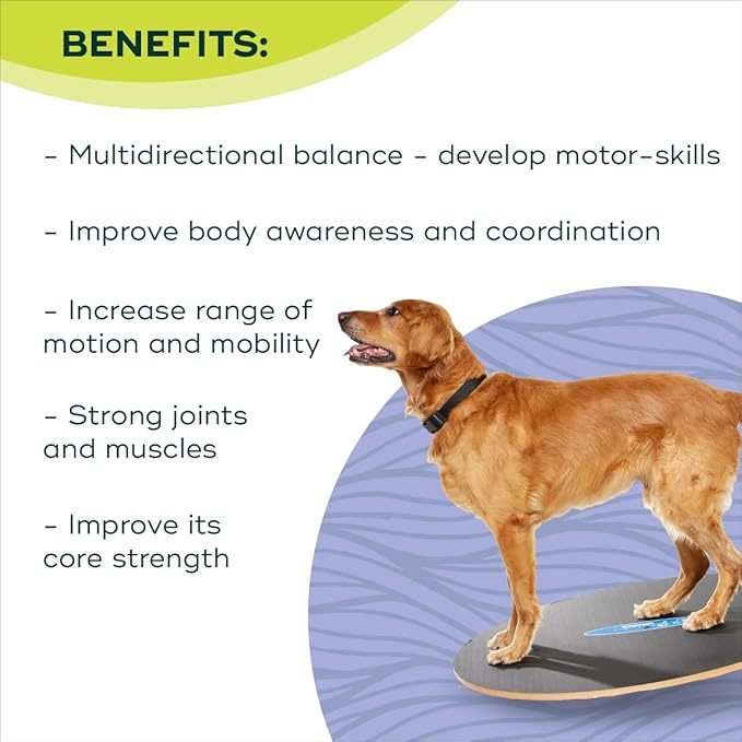 FitPaws Wobble Board - Dog Balance Training Equipment for Core Strength & Stability Canine Fitness & Rehabilitation Tool