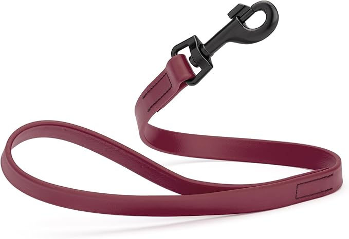 Dogline Biothane Waterproof Dog Leash Strong Coated Nylon Webbing with Black Hardware Odor-Proof Easy to Clean High Performance for Small or Large Dogs Made in USA 2 ft Lead, Merlot Burgundy