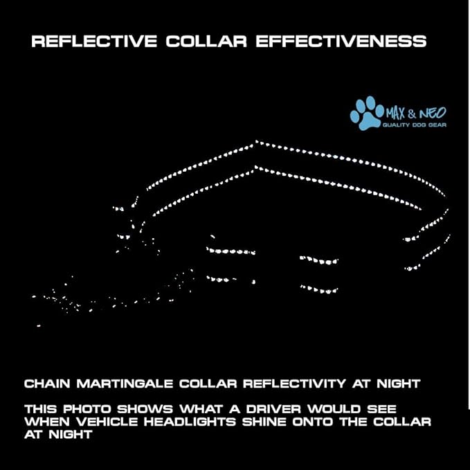 Max and Neo Stainless Steel Chain Martingale Collar - We Donate to a Dog Rescue for Every Collar Sold (X-Small, Purple)
