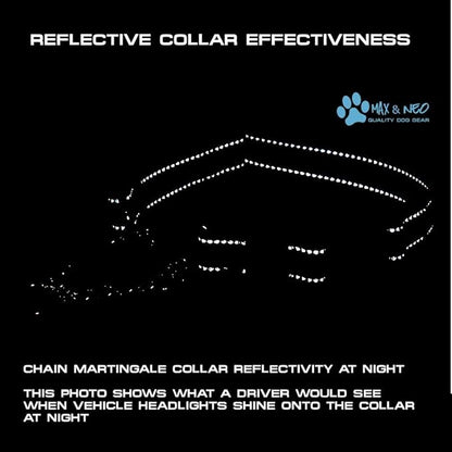 Max and Neo Stainless Steel Chain Martingale Collar - We Donate to a Dog Rescue for Every Collar Sold (X-Small, Black)
