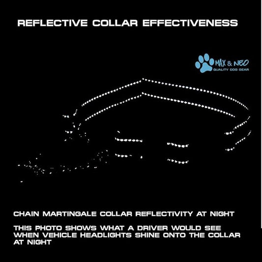 Max and Neo Stainless Steel Chain Martingale Collar - We Donate to a Dog Rescue for Every Collar Sold (X-Small, Black)