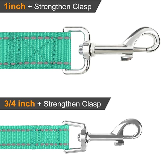 Joytale Double-Sided Reflective Dog Leash, 6 FT/5 FT/4 FT, Padded Handle Nylon Heavy Duty Leashes for Small & Medium Dogs Walking, Teal, 6FT
