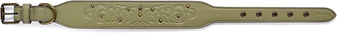 Blueberry Pet Premium Embossed Sage Green Glam Silver-Powered Freshness Microfiber Leather Dog Collar with Antique Brass Studs