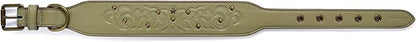 Blueberry Pet Premium Embossed Sage Green Glam Silver-Powered Freshness Microfiber Leather Dog Collar with Antique Brass Studs