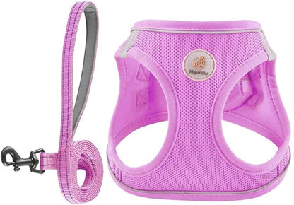 Hipubby Dog Harness and Leash Set, No Pull Soft Mesh Puppy Harness for Small Medium Dogs, Cats - Step in Reflective Breathable Lightweight Vest Harness for Walking, Training - Purple, XS