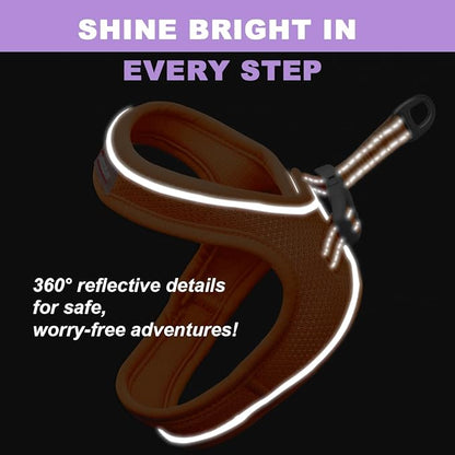 Cat Harness and Leash Set,Escape Proof Kitten Harness,Step in Adjustable Soft Lightweight,Easy Control,Reflective Strips Comfortable for Walking Travel(Orange,XXXS)