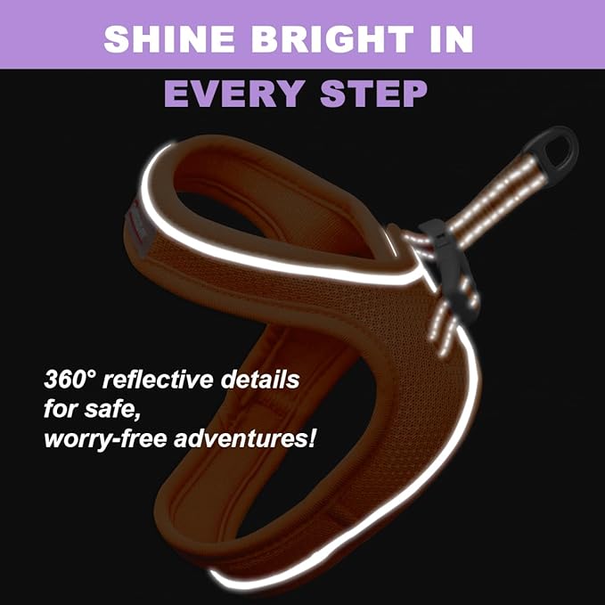 Cat Harness and Leash Set,Escape Proof Kitten Harness,Step in Adjustable Soft Lightweight,Easy Control,Reflective Strips Comfortable for Walking Travel(Orange,M)