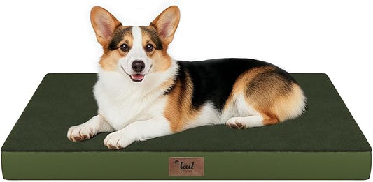 Tail Stories Orthopedic Dog Bed for Large Dogs, Plush Washable Pet Bed for Large Size Dogs with Egg Crate Foam & Removable Oxford Cover, 36x27 Inch, Olive Green