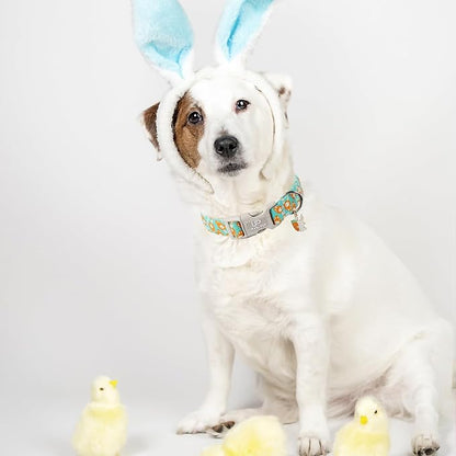 Easter Dog Collar, Lovely Cotton Easter Carrot Adjustable Puppy Collar for Girl Boy Dog, Adorable Carrots Collar for Small Medium & Large Dogs
