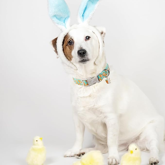 Easter Dog Collar, Lovely Cotton Easter Carrot Adjustable Puppy Collar for Girl Boy Dog, Adorable Carrots Collar for Small Medium & Large Dogs