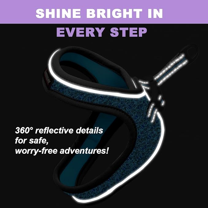 Cat Harness and Leash Set,Escape Proof Kitten Harness,Step in Adjustable Soft Lightweight,Easy Control,Reflective Strips Comfortable for Walking Travel(Blue/Black,S)