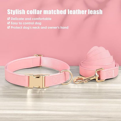 PET ARTIST Soft PU Leather Dog Collar and Leash Set, Bright & Stylish 5FT PU Leather Leash and Collar Set, Durable Pet Collars with Quick Release Metal Buckle for Small Dogs,Pink,S(9"-14")