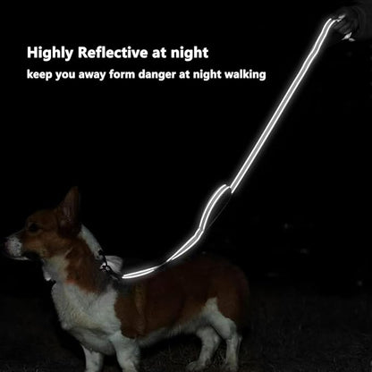 6 FT Dog Leash with 2 Padded Handle Nylon Reflective Dogs Leashes for Small Medium Large Dogs Silver