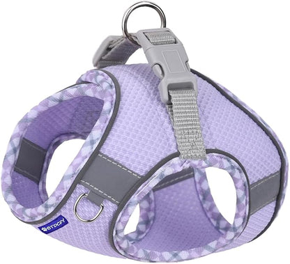 Step in Mesh Dog Harness & Leash Set - Breathable Air Mesh Reflective Escape Proof Vest, No Choke, Lightweight, Purple