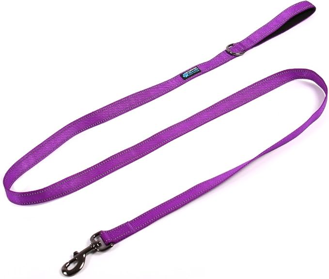 Max and Neo Reflective Nylon Dog Leash - Purple, 4 Feet