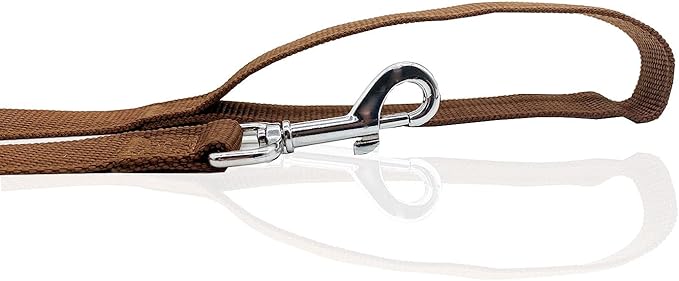 Nylon Dog Leash 16 Feet Long, Walking Training Dog Leashes for Medium Large Dogs(1" X 16 ft, Brown)