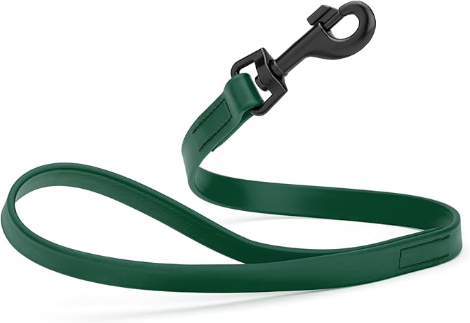 Dogline Biothane Waterproof Dog Leash Strong Coated Nylon Webbing with Black Hardware Odor-Proof Easy to Clean High Performance for Small or Large Dogs Made in USA 2 ft Lead, Hunter Green