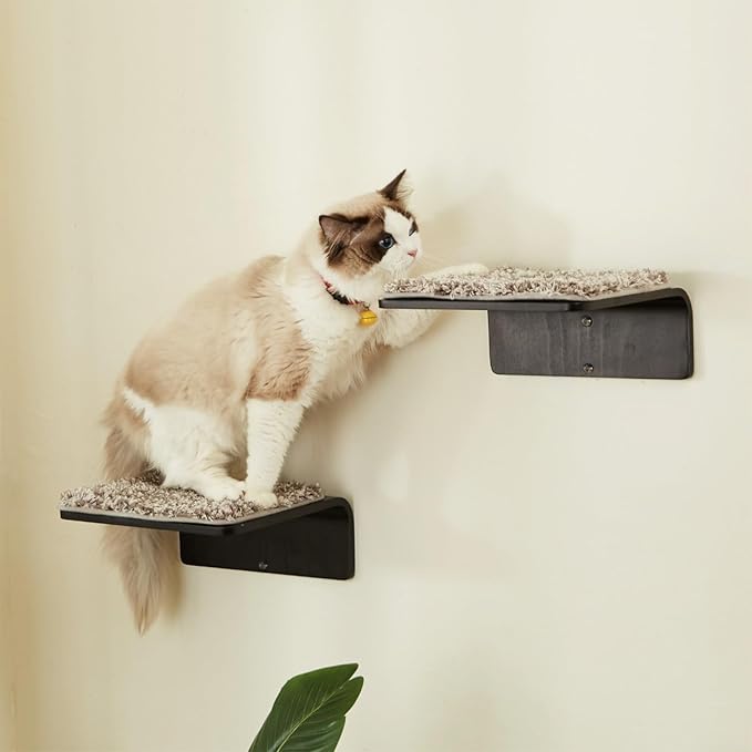 LIORCE 2 Set Cat Wall Steps - Wooden Cat Climbing Shelf for Wall - Cats Wall Stairs with Scratching Mat - Wall Mounted Cats Furniture for Jumping, Playing, and Lounging, Walnut