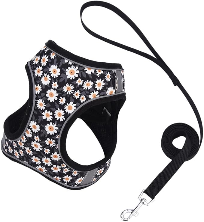 Step in Dog Harness and Leash Set, Flower Adjustable Easy Walk Puppy Harnesses, Soft Mesh No Pull Pet Vest Harness for Small Medium Dogs(Daisy, M)