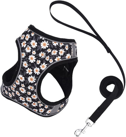 Step in Dog Harness and Leash Set, Flower Adjustable Easy Walk Puppy Harnesses, Soft Mesh No Pull Pet Vest Harness for Small Medium Dogs(Daisy, M)