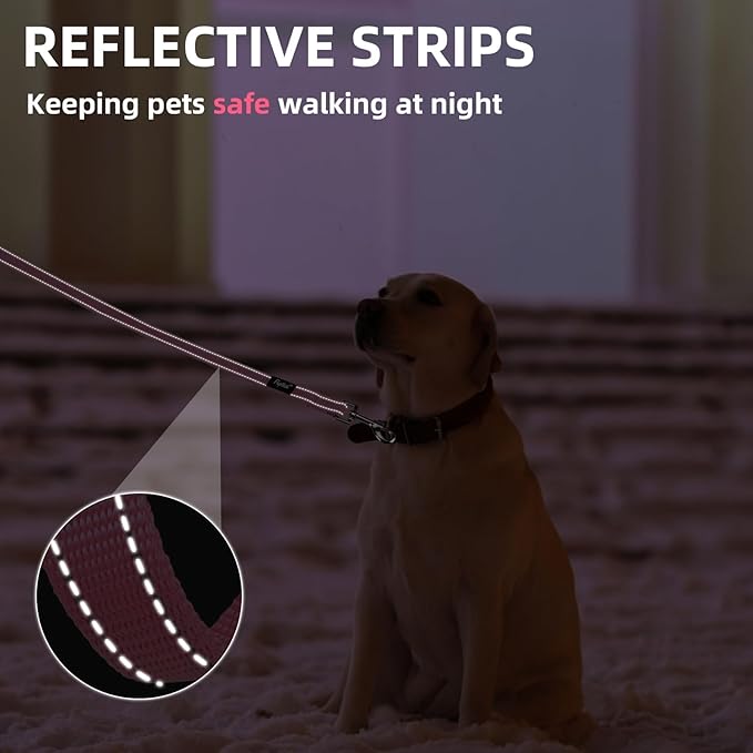 PUPTECK Reflective Dog Leash with Comfortable Padded Handle Durable Nylon Dog Lead for Small Medium and Large Dogs Cats Walking Running Training Outside, Light Pink