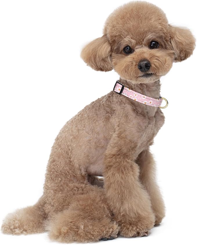 Reflective Dog Collar for Small Dogs, Cute Daisy Theme Adjustable Heavy-Duty Nylon Puppy Collar for Boy and Girl Female, Soft Pet Accessories with Quick Release Buckle, Neck 10-16", Pink