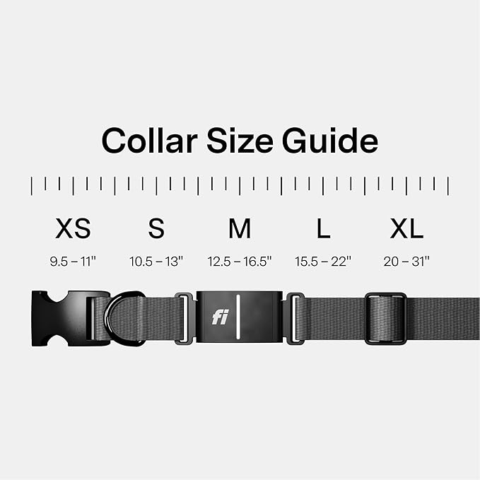 New Fi Series 3+ Smart Dog Tracker Collar [6 Month Membership Included] GPS Tracker for Dogs with Health & Behavior Monitoring, Escape Alerts, Waterproof, LED, Apple Watch Compatible (Gray, Large)