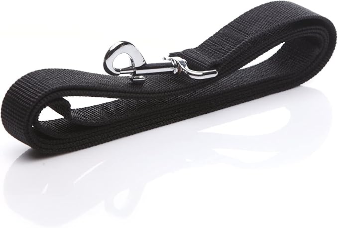 Nylon Dog Leash 4 Ft 5 Feet 6 Foot Long, Walking Training Dog Leashes for Medium Large Dogs, 1 Inch Wide (3/4" X 6 ft, Black)