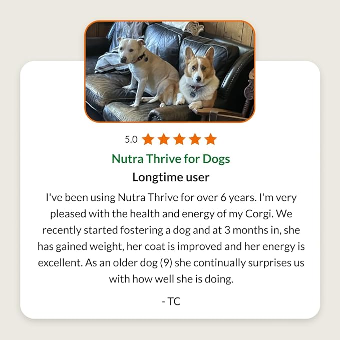 Ultimate Pet Nutrition Nutra Thrive Canine, 40-in-1 Nutritional Powder Supplement for Dogs with Digestion and Immune Support, Vitamins, Minerals, Probiotics, Enzymes, 30 Scoops (Pack of 3)