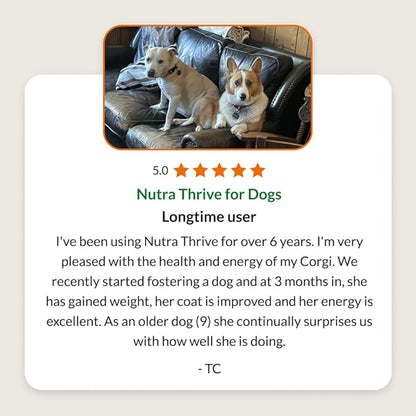 Ultimate Pet Nutrition Nutra Thrive Canine, 40-in-1 Nutritional Powder Supplement for Dogs with Digestion and Immune Support, Vitamins, Minerals, Probiotics, Enzymes, 30 Scoops (Pack of 3)