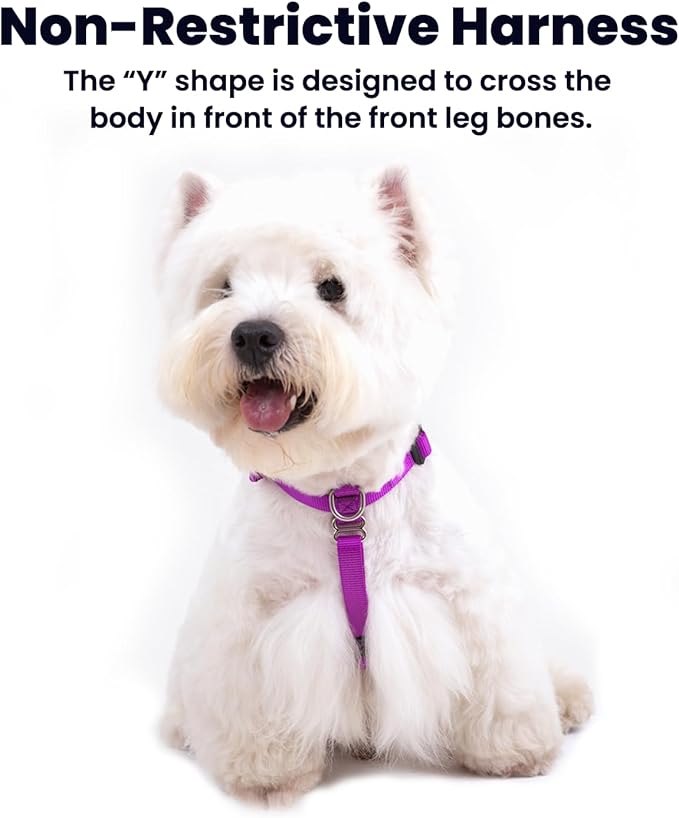 Non Restrictive Dog Harness, Easy Walk Freedom No Pull Harness, Keep Balance, Neck Buckle, 2 Leash Clips for Back/Front Clip, Sewn-in Instructions Labels for Easy Put On/Off (Purple, XLarge)