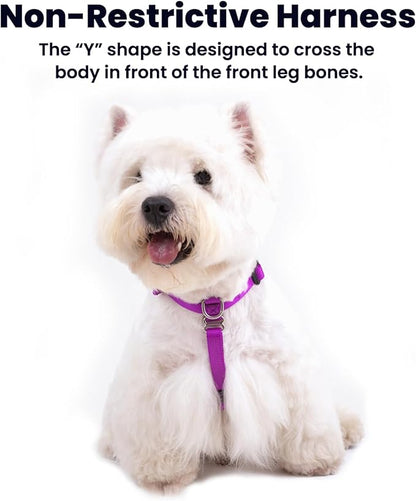 Non Restrictive Dog Harness, Easy Walk Freedom No Pull Harness, Keep Balance, Neck Buckle, 2 Leash Clips for Back/Front Clip, Sewn-in Instructions Labels for Easy Put On/Off (Purple, XLarge)