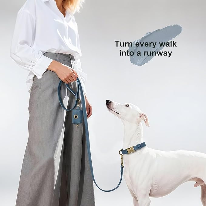 Didog Stylish PU Leather Dog Leash for Medium Dogs, Easy to Clean 5ft Dog Leashes for Large Dogs, Fashionable and Elegant for Walking, Running and Training,Blue, M