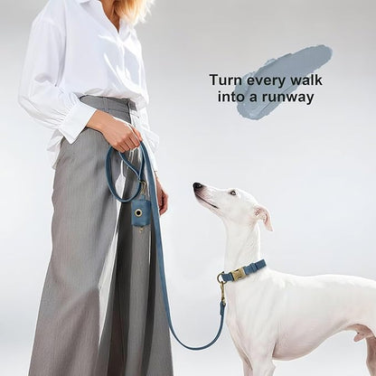 Didog Stylish PU Leather Dog Leash for Medium Dogs, Easy to Clean 5ft Dog Leashes for Large Dogs, Fashionable and Elegant for Walking, Running and Training,Blue, M