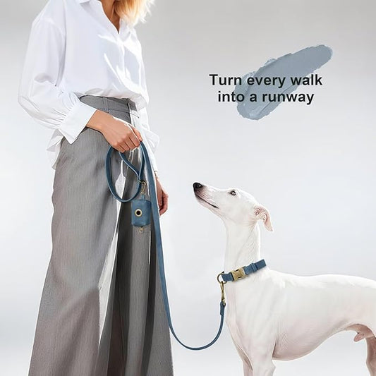 Didog Stylish PU Leather Dog Leash for Medium Dogs, Easy to Clean 5ft Dog Leashes for Large Dogs, Fashionable and Elegant for Walking, Running and Training,Blue, M