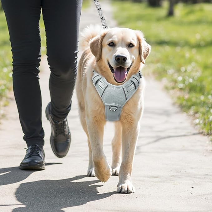 BARKBAY No Pull Dog Harness Large Reflective Dog Harness with Front Clip and Easy Control Handle for Walking Training Running with ID tag Pocket(Grey,XL)