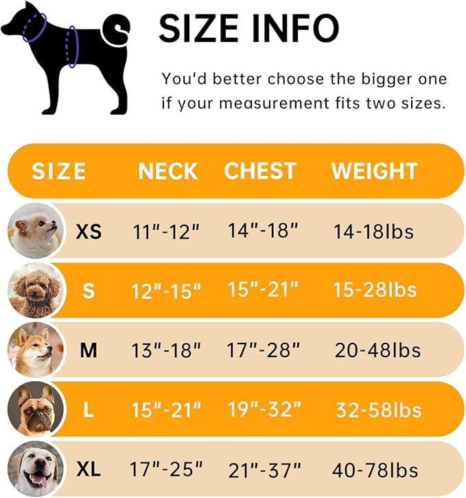 IVY&LANE No Pull Dog Harness for Large Dogs, Dog Vest Harness with Leash, Safety Belt and Storage Strap, Fully Adjustable Harness, 360° Reflective Strip, Soft Handle (Orange,X-Large)
