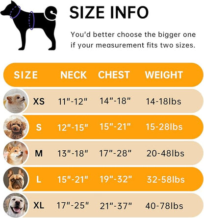 IVY&LANE No Pull Dog Harness for Small Dogs, Vest Harness with Leash, Safety Belt and Storage Strap, Fully Adjustable, 360° Reflective Strip, Soft Handle (Orange, S)