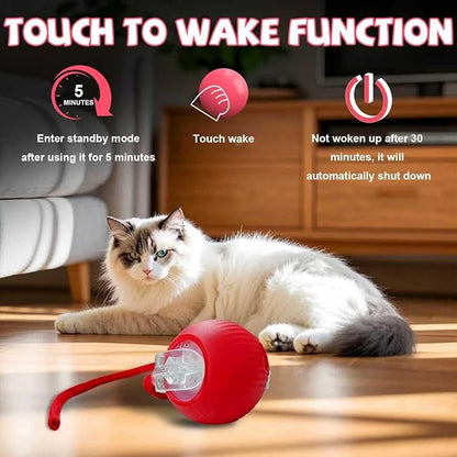FUICZSN Automatic Interactive Cat Toys Ball, Motion Activated Kitten Toys with Twitchy Tail, 3 Speed Modes & Rechargeable Battery, Fun Indoor Cat Enrichment Toys for Small Medium Large Cats (Red)