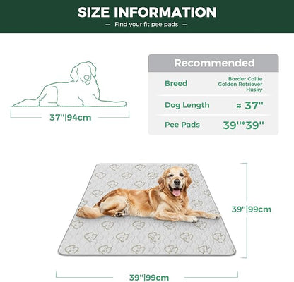 FXW Washable Pee Pads for Dogs, Leak-Proof & Non-Slip, Specifically Designed for Potty Training, 39" Square, Khaki, 1 Pack