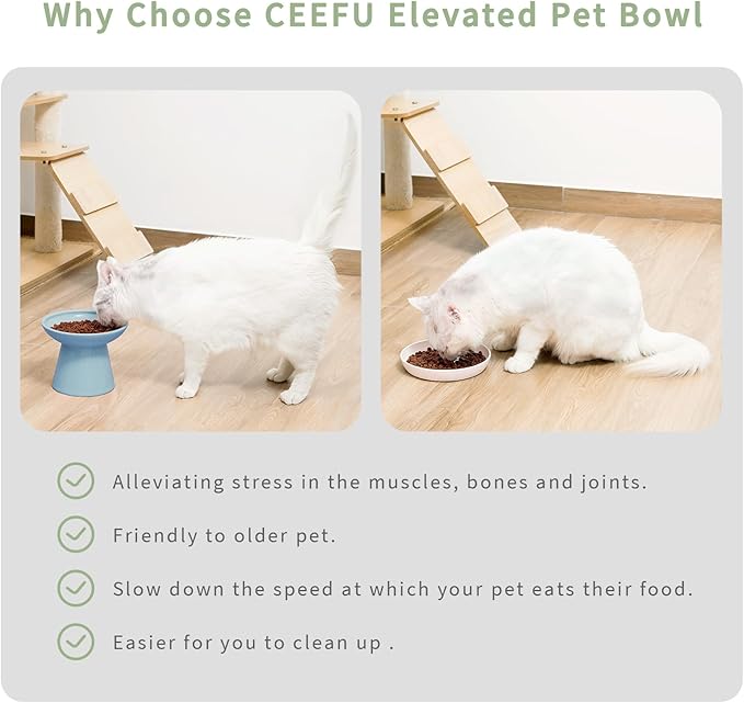 CEEFU 2 Elevated Ceramic Cat Bowls Extra Wide for Food & Water – Whisker Fatigue Shallow Food Dish, Lead & Cadmium-Free, Raised Height for Cats, Blue
