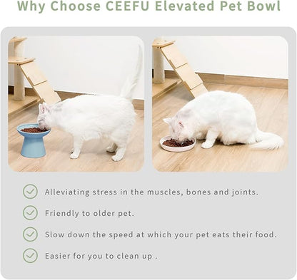 CEEFU 2 Elevated Ceramic Cat Bowls Extra Wide for Food & Water – Whisker Fatigue Shallow Food Dish, Lead & Cadmium-Free, Raised Height for Cats, Blue