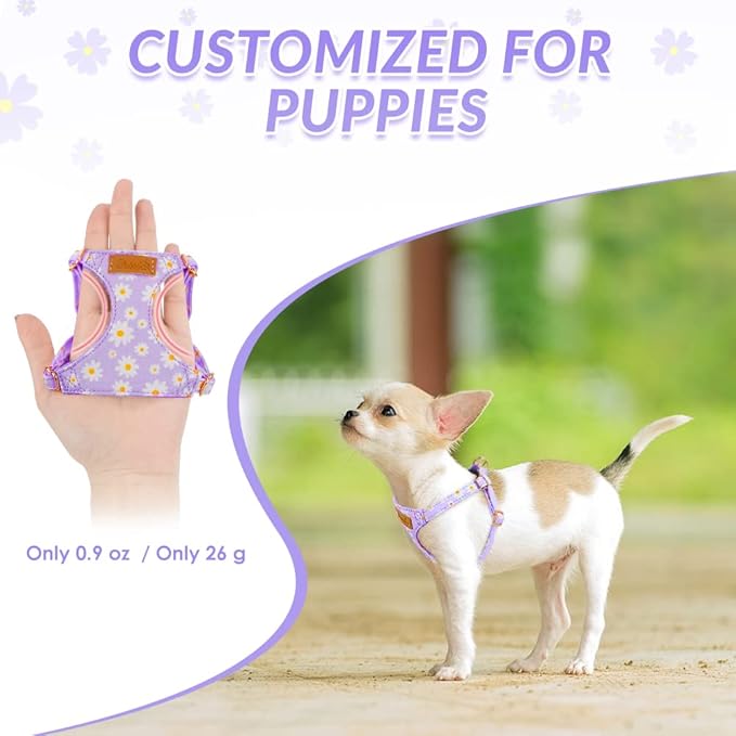 SlowTon Dog Harness Small Sized Dog - Soft XXS Dog Harness and Leash Set No Pull No Chock, Adjustable Lightweight Puppy Harness for XS Small Medium Dogs Cats (Purple Dasiy, XXS)