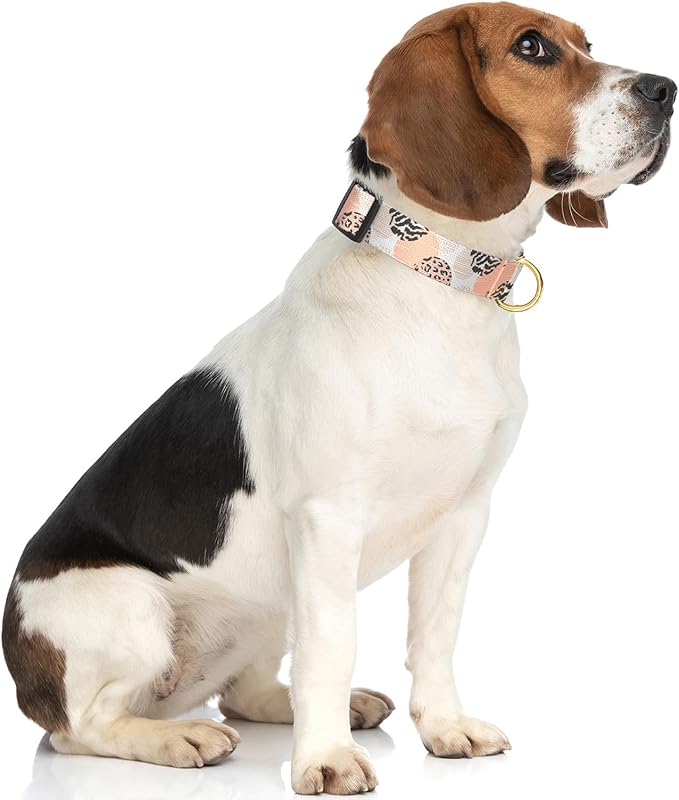Rnivvi Dog Collar for Medium Dogs, Cute Heavy Duty Adjustable Puppy Collar with Quick Release Buckle for Boy Girl & Female, Pet Accessories for Walking Running, M Length 1" Width, Modern Abstract Art