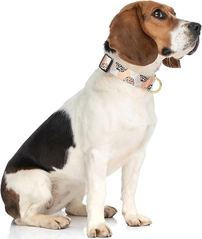 Rnivvi Dog Collar for Medium Dogs, Cute Heavy Duty Adjustable Puppy Collar with Quick Release Buckle for Boy Girl & Female, Pet Accessories for Walking Running, M Length 1" Width, Modern Abstract Art