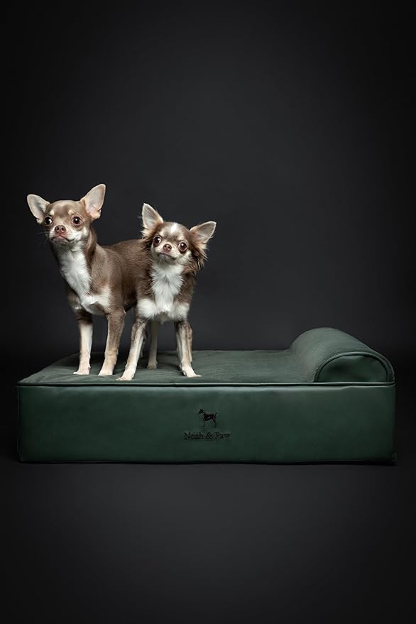 NOAH & PAW Dog Bed, 28x23x7.5 Inch, Orthopedic Dog Beds for Medium Size Pets, Eggshell Memory Foam Infused with Cooling Gel, Waterproof, Machine Washable, Includes Inner Cover (Faux Leather)