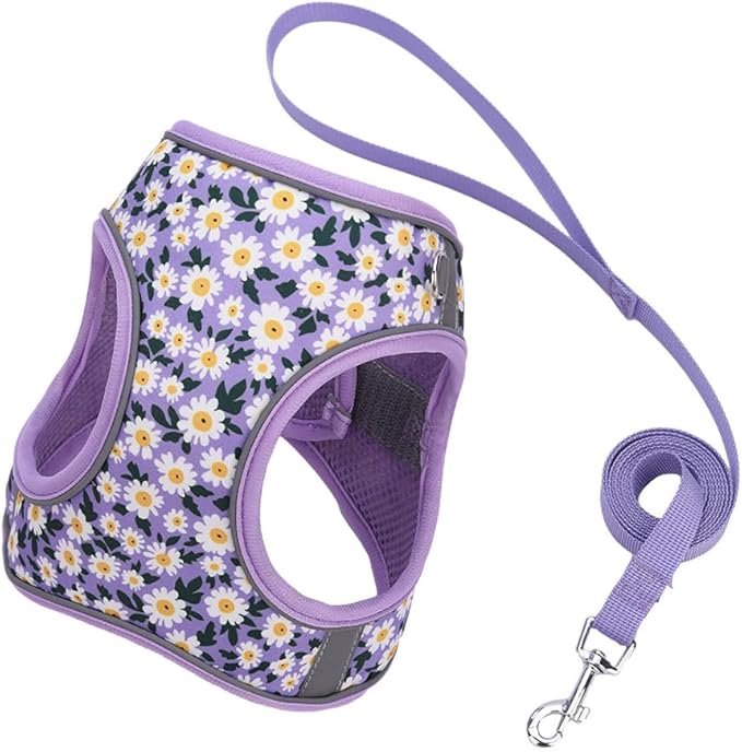 Step in Dog Harness and Leash Set, Flower Adjustable Easy Walk Puppy Harnesses, Soft Mesh No Pull Pet Vest Harness for Small Medium Dogs(Daisy, M)