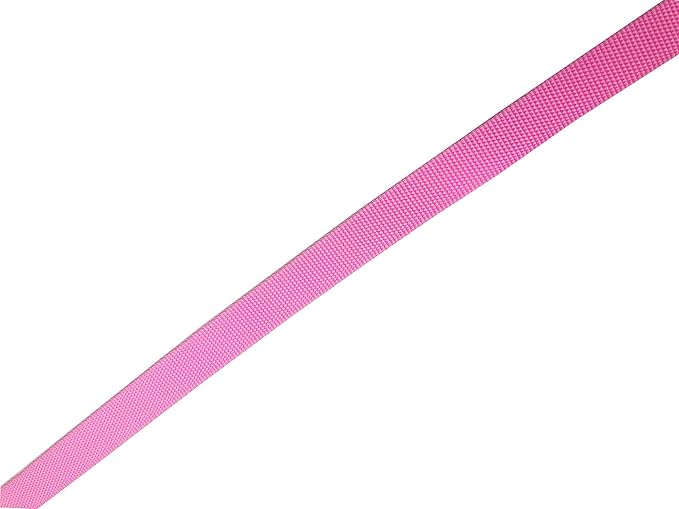 Nylon Dog Leash 10 Feet Long, Walking Training Dog Leashes for Medium Large Dogs, 1 Inch Wide (Pink)
