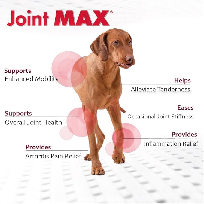 Joint Max TS Joint Supplement Vet Formulated Pain & Inflammation Relief Treats Hip Dysplasia & Arthritis, Glucosamine, Chondroitin, Turmeric, MSM, HA, Creatine, Omega 3 EPA + DHA. Granules 120 Doses