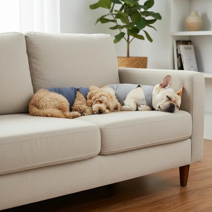 DAJIDALI® Dog & Cat Anxiety Vest & Female Spay Recovery Suit – Silent No-Velcro Calming Wrap – Universal Fit for All Breeds (Including Corgi & Frenchie)